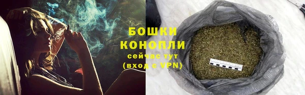 крисы Абдулино