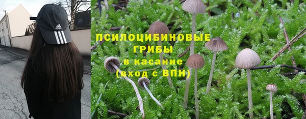 прущая мука Абаза