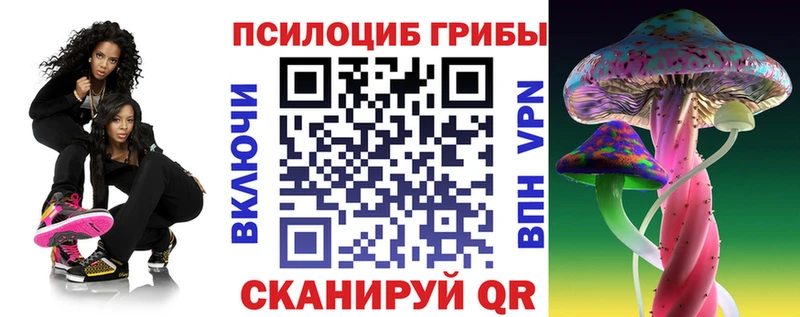 Галлюциногенные грибы Psilocybine cubensis Осташков