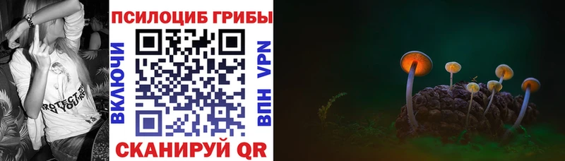нарко площадка Telegram  где продают   KRAKEN рабочий сайт  Осташков  Галлюциногенные грибы мицелий 